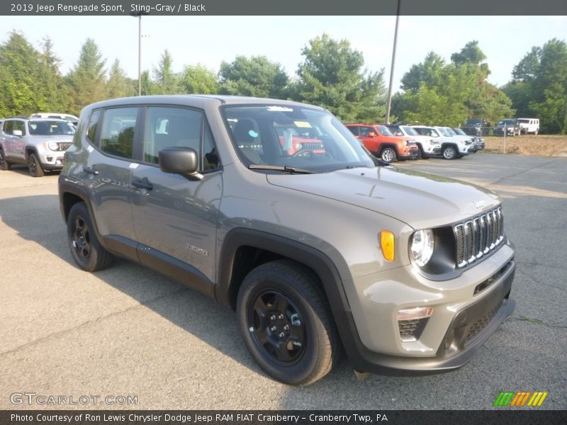 Sting-Gray / Black 2019 Jeep Renegade Sport