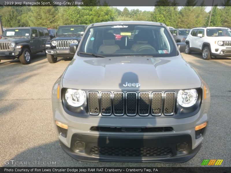 Sting-Gray / Black 2019 Jeep Renegade Sport