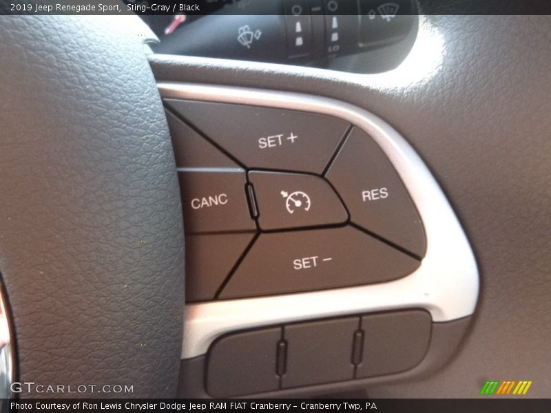 Sting-Gray / Black 2019 Jeep Renegade Sport