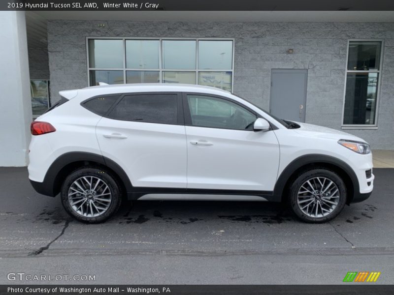 Winter White / Gray 2019 Hyundai Tucson SEL AWD