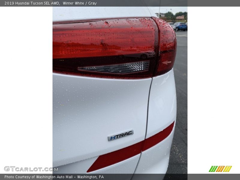 Winter White / Gray 2019 Hyundai Tucson SEL AWD