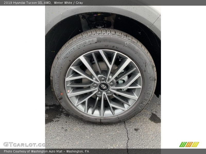 Winter White / Gray 2019 Hyundai Tucson SEL AWD