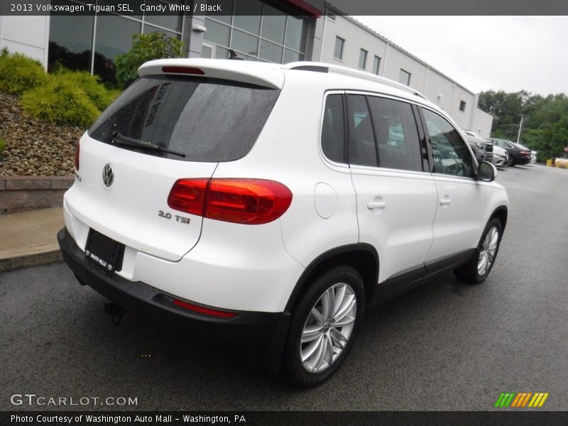 Candy White / Black 2013 Volkswagen Tiguan SEL