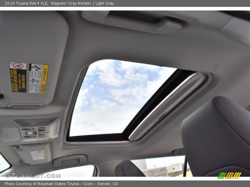 Magnetic Gray Metallic / Light Gray 2019 Toyota RAV4 XLE