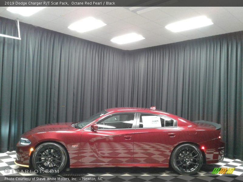 Octane Red Pearl / Black 2019 Dodge Charger R/T Scat Pack