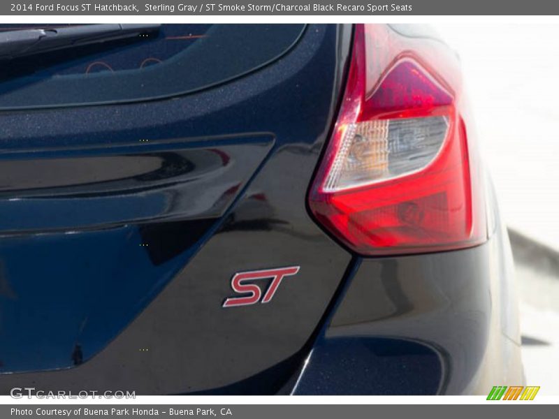 Sterling Gray / ST Smoke Storm/Charcoal Black Recaro Sport Seats 2014 Ford Focus ST Hatchback