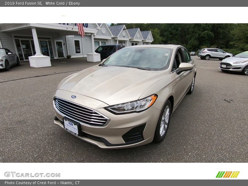 White Gold / Ebony 2019 Ford Fusion SE