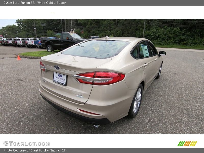 White Gold / Ebony 2019 Ford Fusion SE