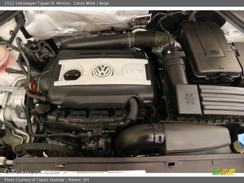 Candy White / Beige 2012 Volkswagen Tiguan SE 4Motion