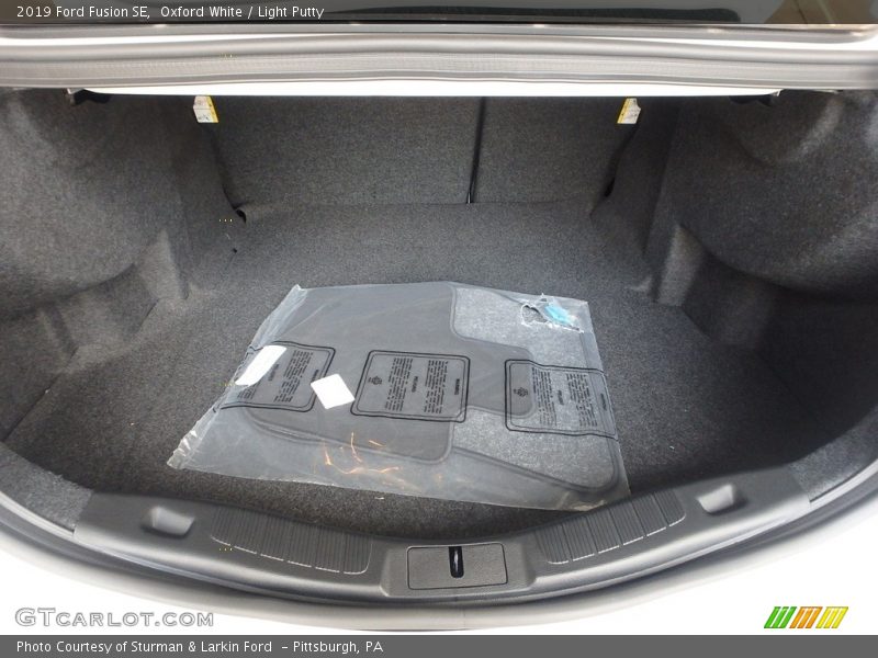 Oxford White / Light Putty 2019 Ford Fusion SE