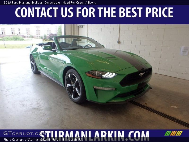 Need For Green / Ebony 2019 Ford Mustang EcoBoost Convertible