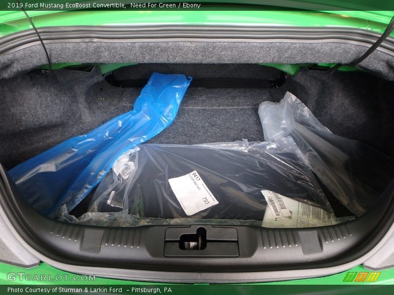  2019 Mustang EcoBoost Convertible Trunk
