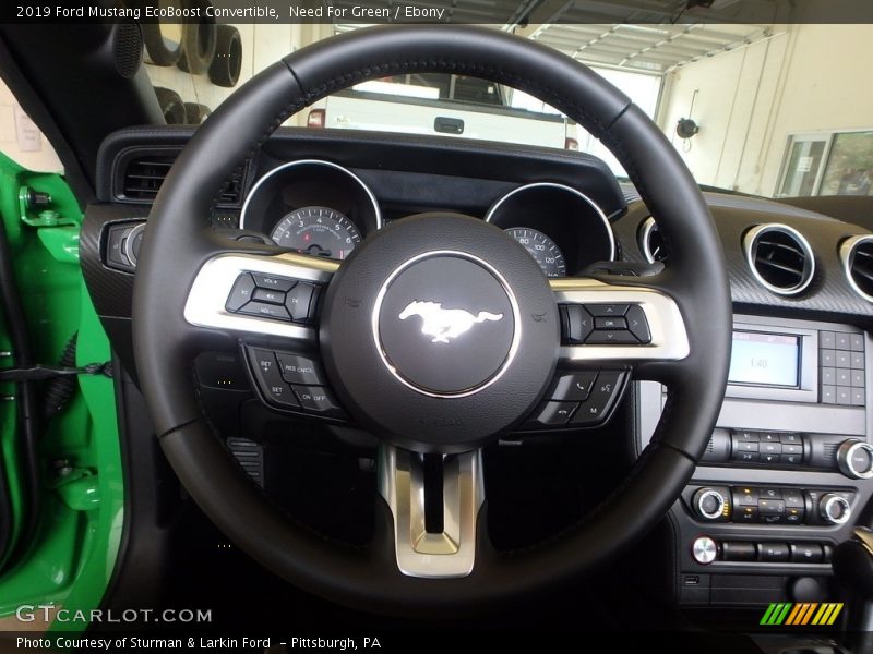 Need For Green / Ebony 2019 Ford Mustang EcoBoost Convertible