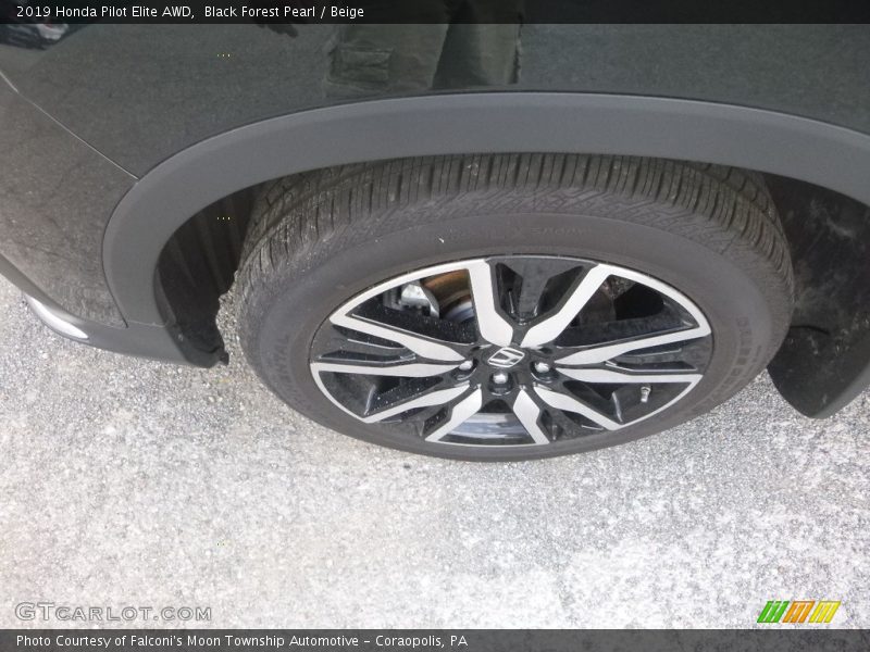 Black Forest Pearl / Beige 2019 Honda Pilot Elite AWD