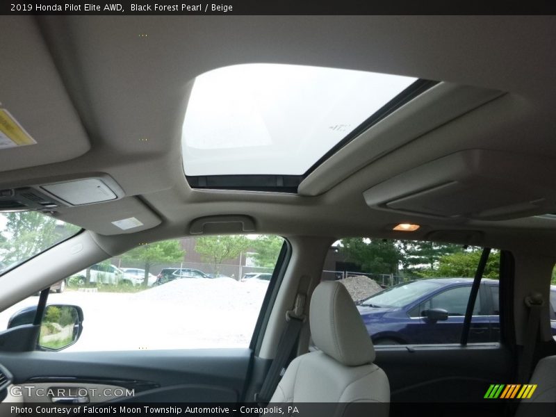 Black Forest Pearl / Beige 2019 Honda Pilot Elite AWD