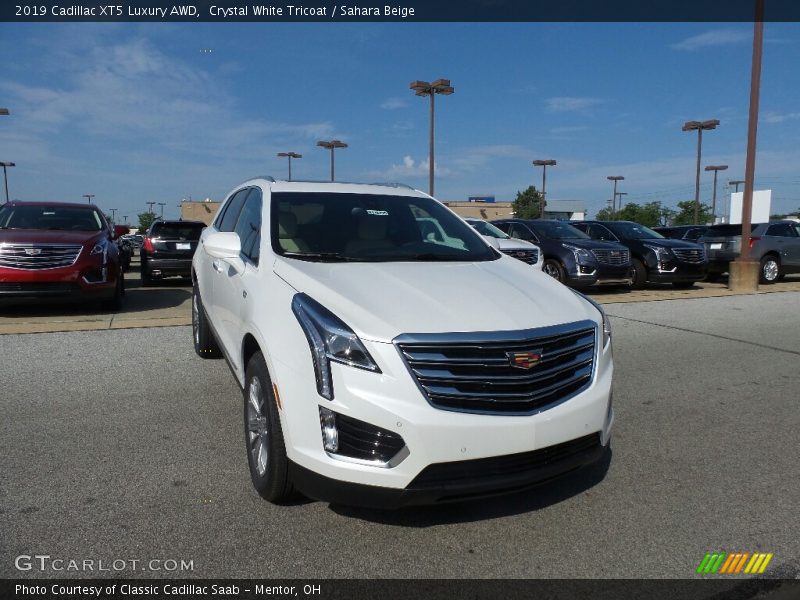 Crystal White Tricoat / Sahara Beige 2019 Cadillac XT5 Luxury AWD