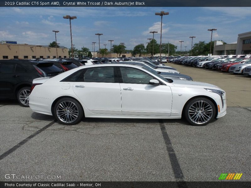 2019 CT6 Sport AWD Crystal White Tricoat