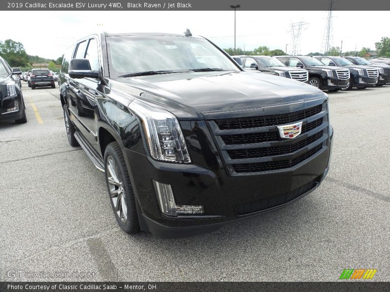 Black Raven / Jet Black 2019 Cadillac Escalade ESV Luxury 4WD