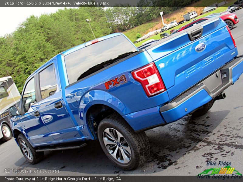 Velocity Blue / Black 2019 Ford F150 STX SuperCrew 4x4