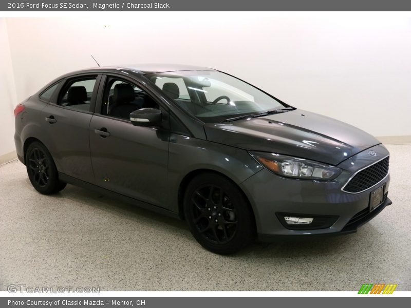 Magnetic / Charcoal Black 2016 Ford Focus SE Sedan