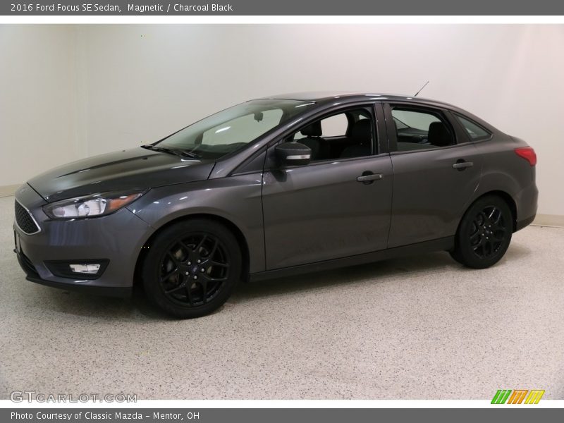 Magnetic / Charcoal Black 2016 Ford Focus SE Sedan