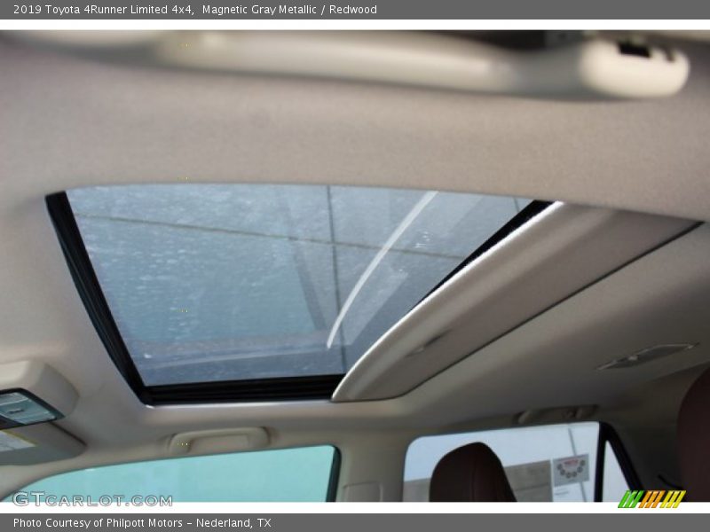 Magnetic Gray Metallic / Redwood 2019 Toyota 4Runner Limited 4x4