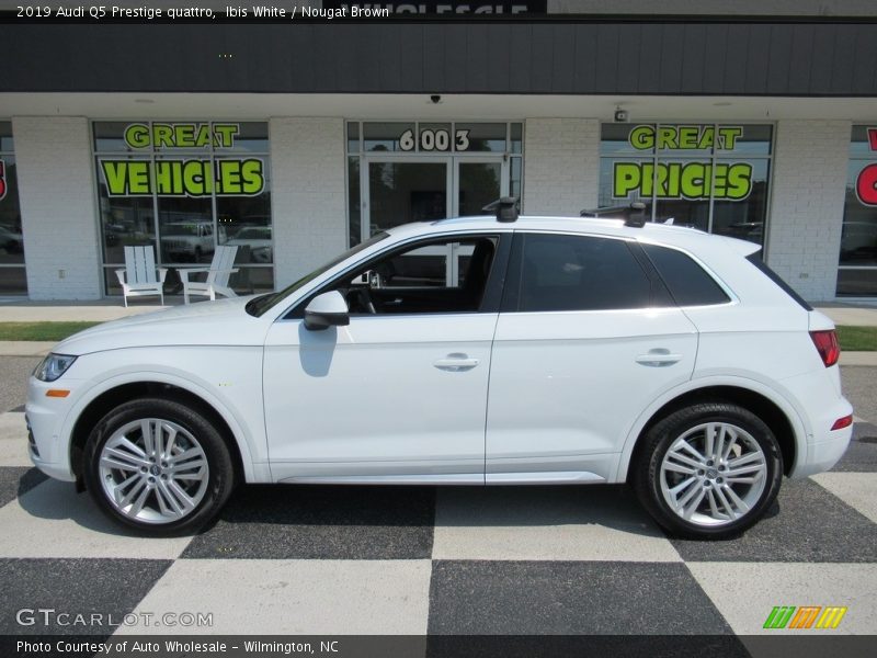 Ibis White / Nougat Brown 2019 Audi Q5 Prestige quattro