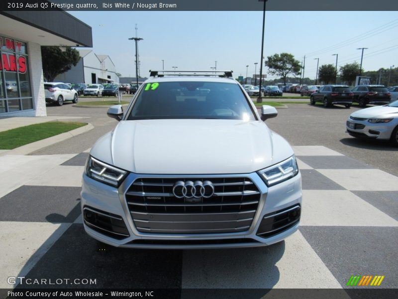 Ibis White / Nougat Brown 2019 Audi Q5 Prestige quattro