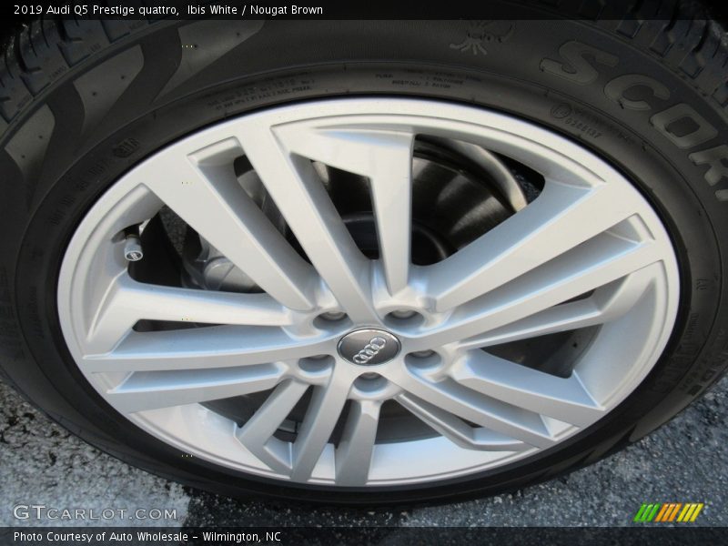 Ibis White / Nougat Brown 2019 Audi Q5 Prestige quattro