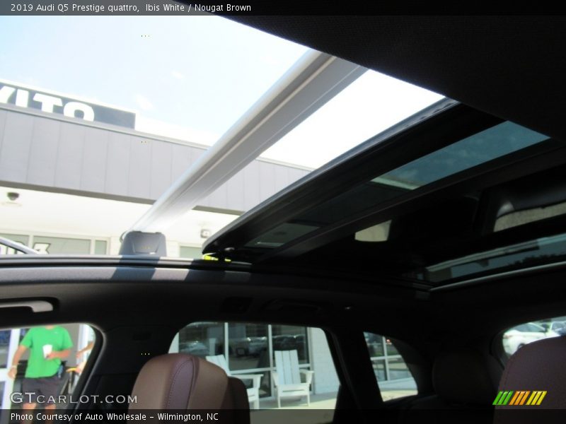 Ibis White / Nougat Brown 2019 Audi Q5 Prestige quattro
