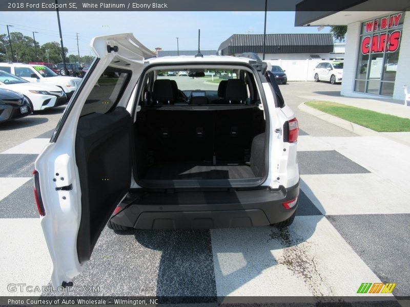 White Platinum / Ebony Black 2018 Ford EcoSport SE