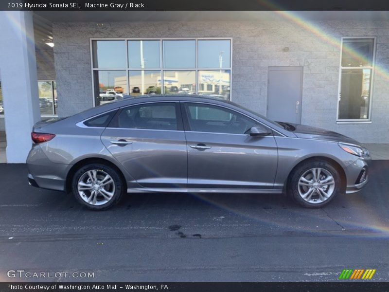 Machine Gray / Black 2019 Hyundai Sonata SEL