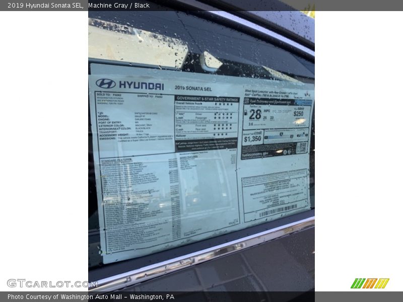 Machine Gray / Black 2019 Hyundai Sonata SEL