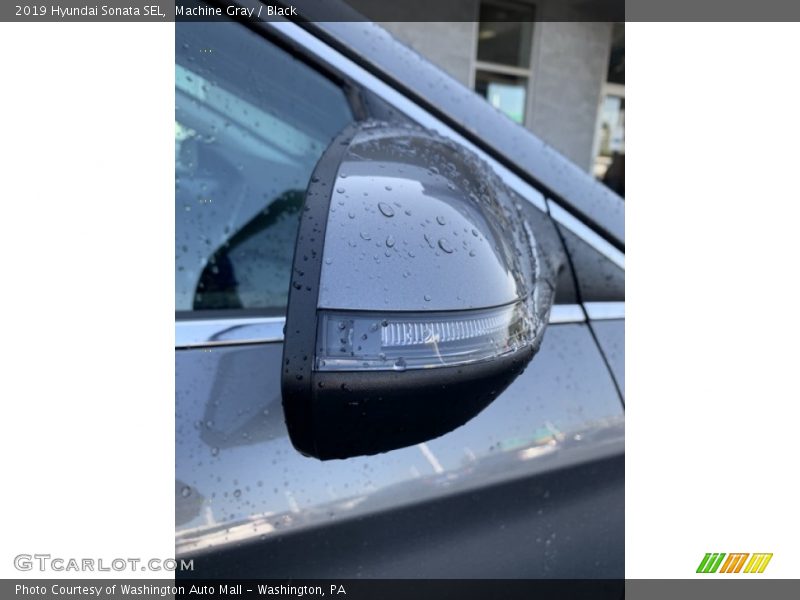 Machine Gray / Black 2019 Hyundai Sonata SEL
