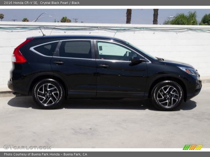 Crystal Black Pearl / Black 2016 Honda CR-V SE