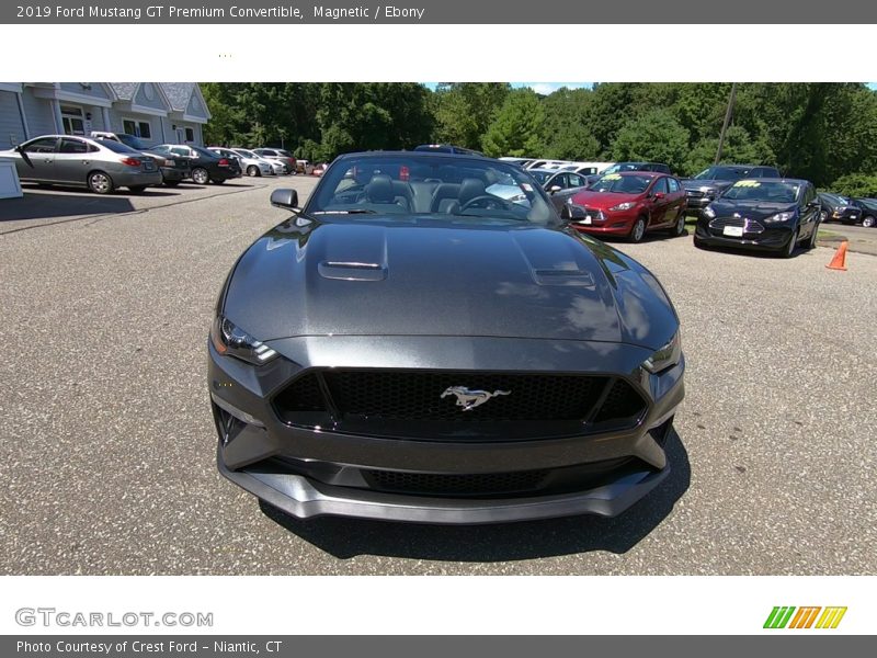 Magnetic / Ebony 2019 Ford Mustang GT Premium Convertible