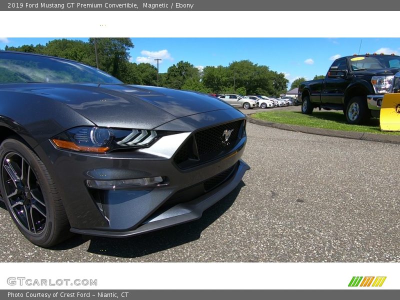 Magnetic / Ebony 2019 Ford Mustang GT Premium Convertible