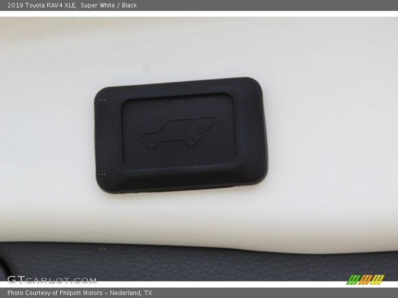 Super White / Black 2019 Toyota RAV4 XLE