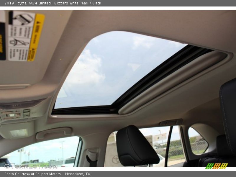 Blizzard White Pearl / Black 2019 Toyota RAV4 Limited