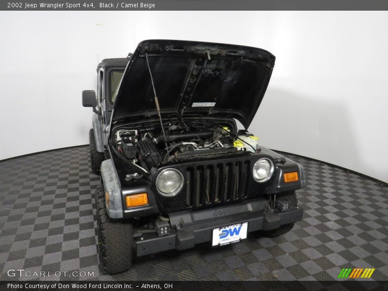 Black / Camel Beige 2002 Jeep Wrangler Sport 4x4