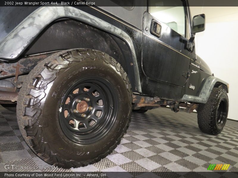 Black / Camel Beige 2002 Jeep Wrangler Sport 4x4