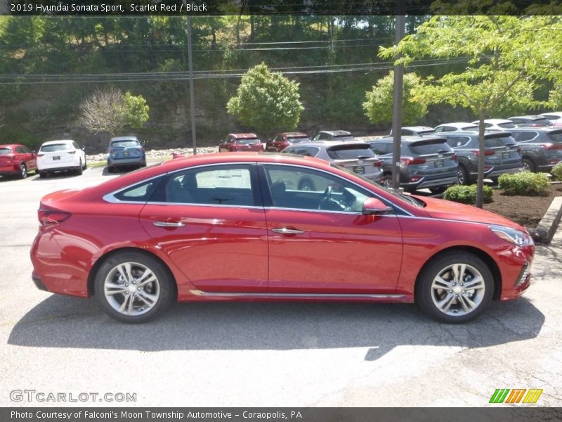 Scarlet Red / Black 2019 Hyundai Sonata Sport