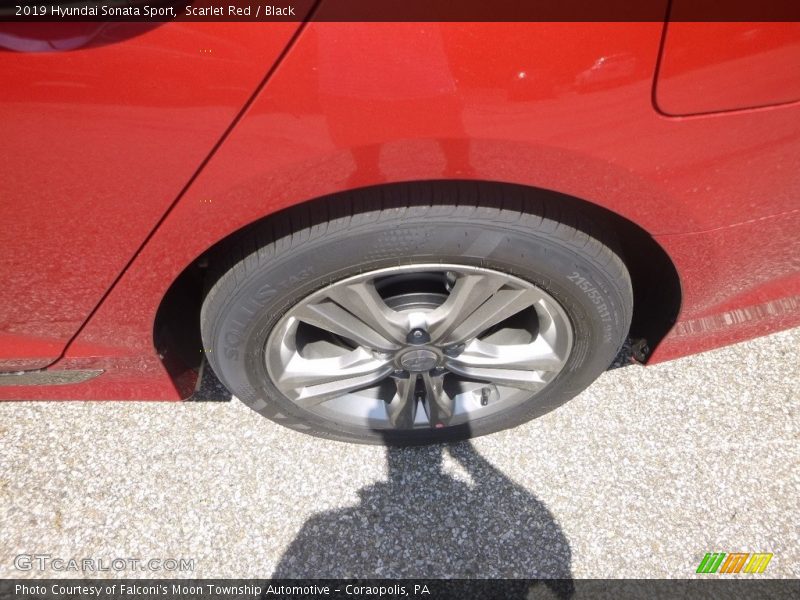Scarlet Red / Black 2019 Hyundai Sonata Sport