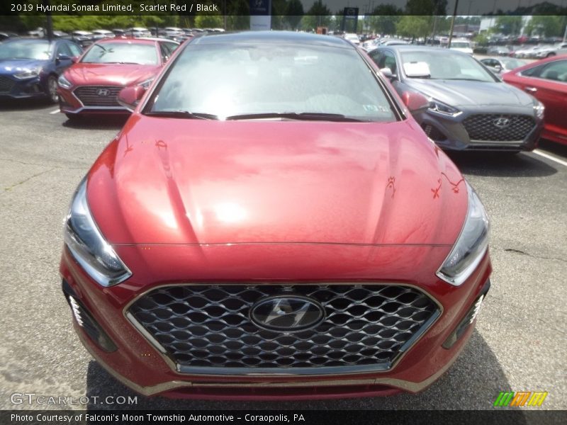 Scarlet Red / Black 2019 Hyundai Sonata Limited