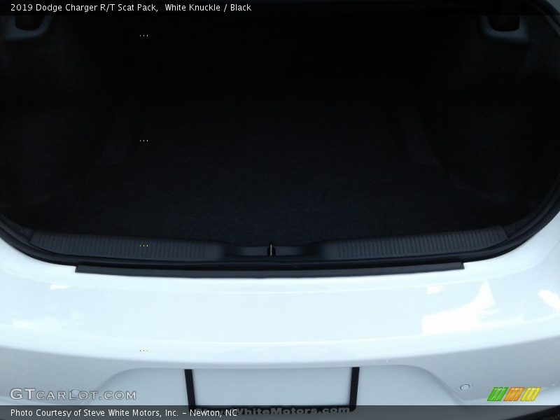 White Knuckle / Black 2019 Dodge Charger R/T Scat Pack