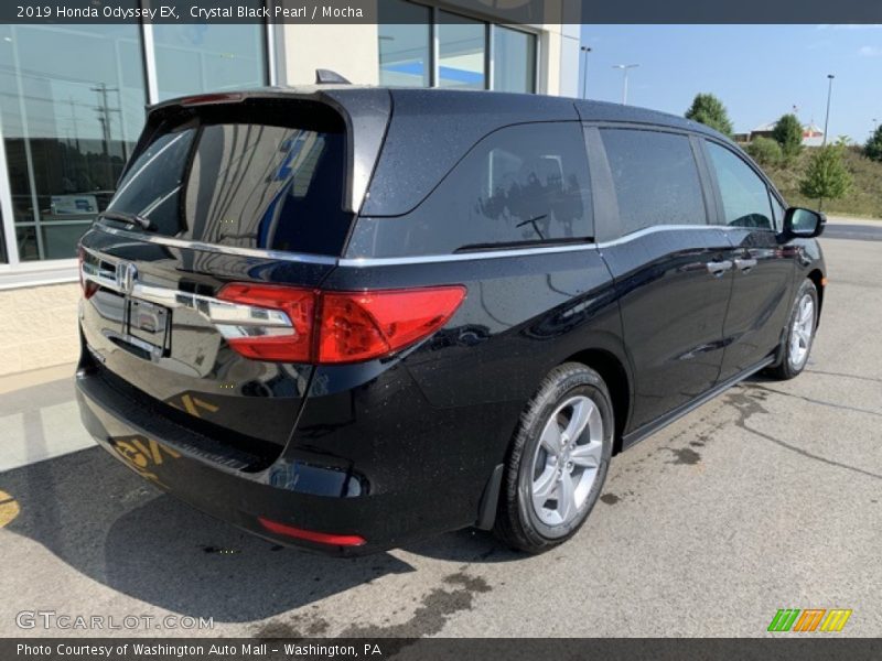 Crystal Black Pearl / Mocha 2019 Honda Odyssey EX
