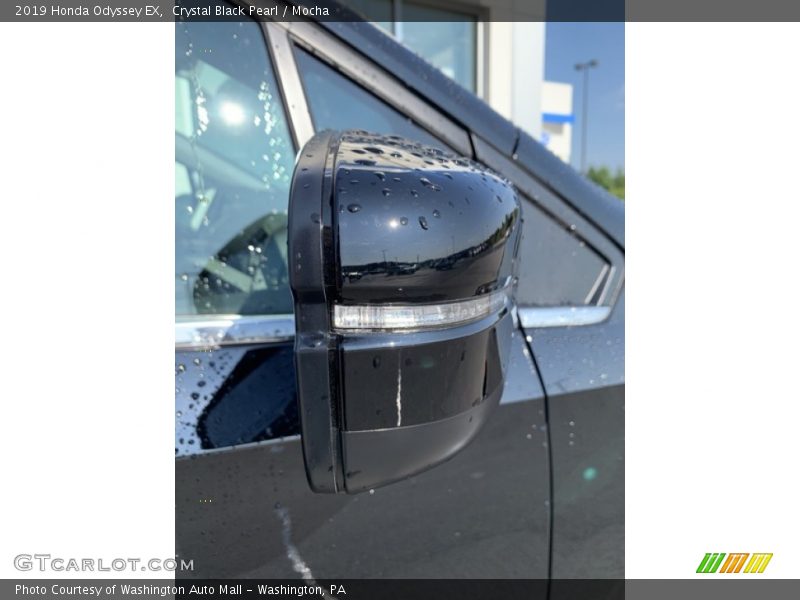 Crystal Black Pearl / Mocha 2019 Honda Odyssey EX