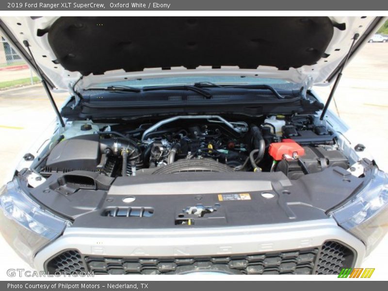 Oxford White / Ebony 2019 Ford Ranger XLT SuperCrew