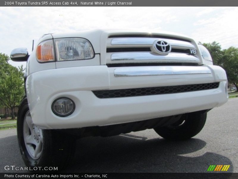 Natural White / Light Charcoal 2004 Toyota Tundra SR5 Access Cab 4x4