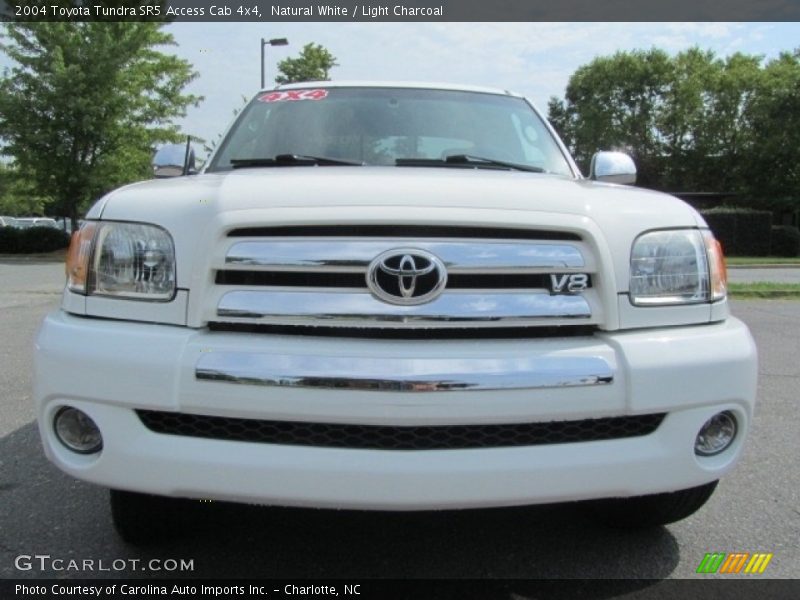 Natural White / Light Charcoal 2004 Toyota Tundra SR5 Access Cab 4x4